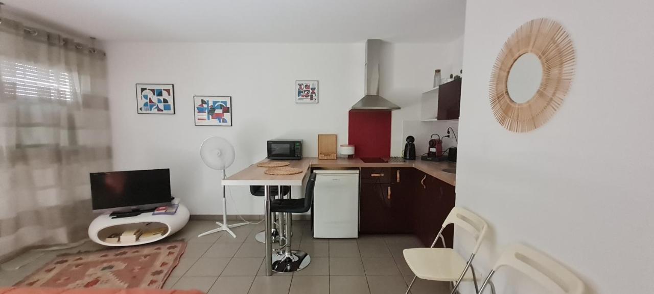 Apartament Beau Studio Tout Confort Au Calme Avec Parking . Villeurbanne Zewnętrze zdjęcie