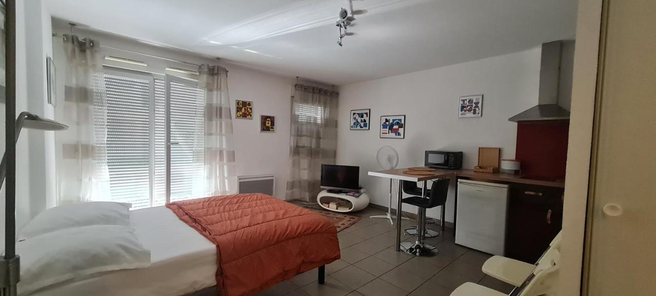 Apartament Beau Studio Tout Confort Au Calme Avec Parking . Villeurbanne Zewnętrze zdjęcie