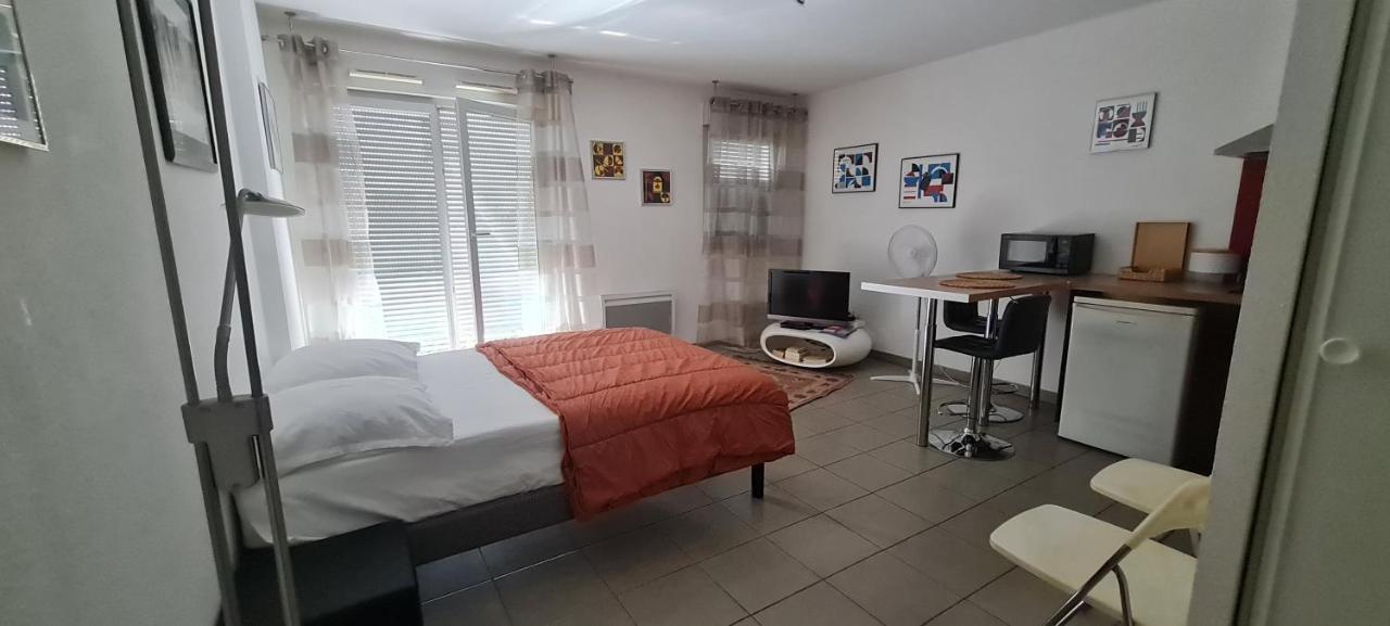 Apartament Beau Studio Tout Confort Au Calme Avec Parking . Villeurbanne Zewnętrze zdjęcie