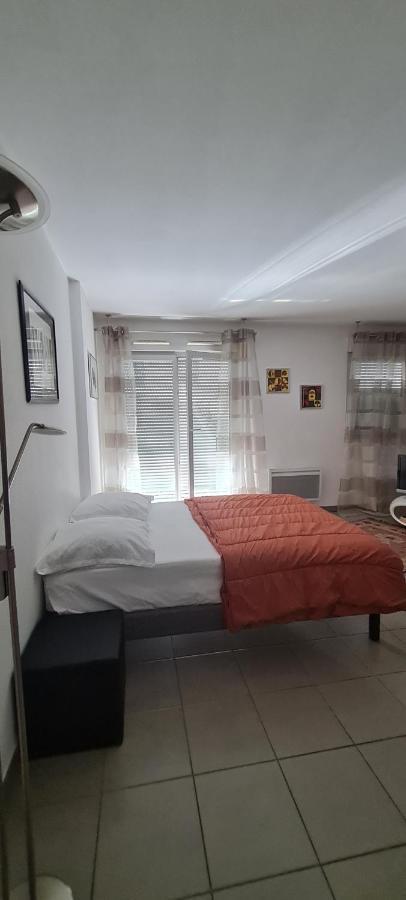 Apartament Beau Studio Tout Confort Au Calme Avec Parking . Villeurbanne Zewnętrze zdjęcie